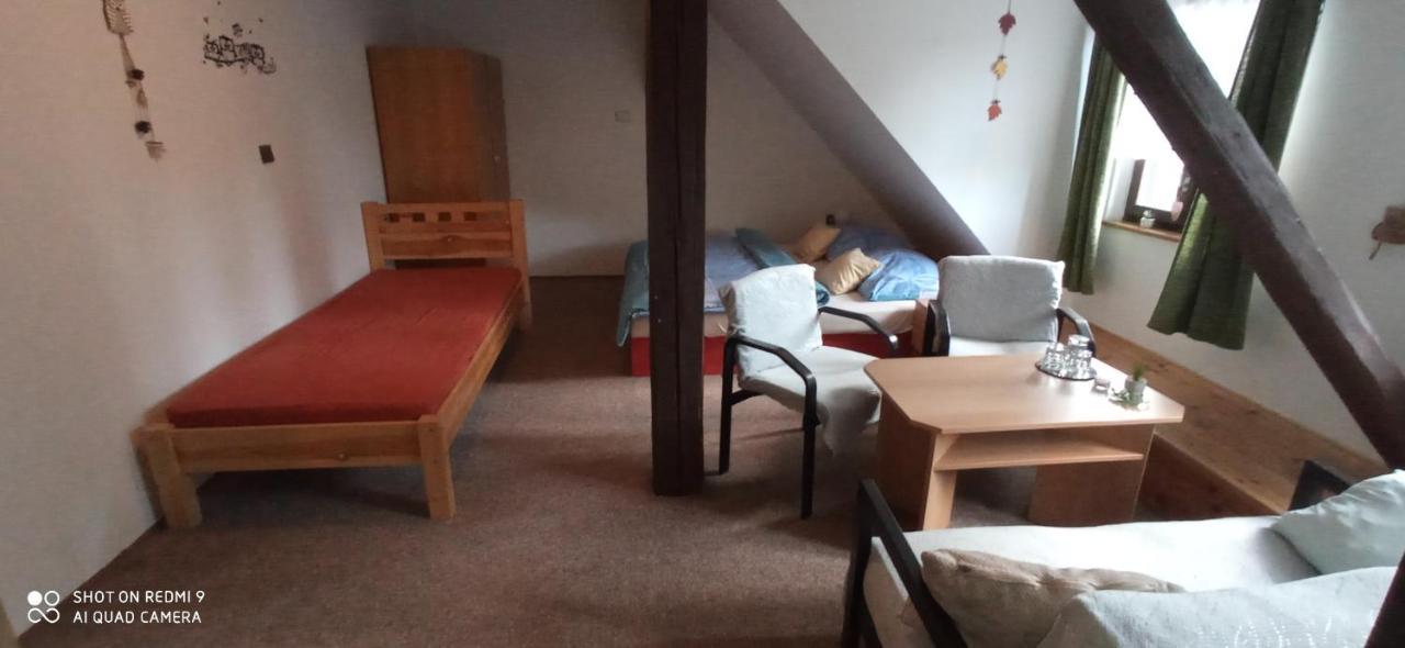Penzion Hamrikova Staj Dolní Moravice Buitenkant foto